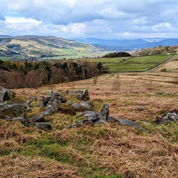 Mindfulness and Nature Connection Walk